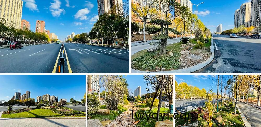 信陽(yáng)(yang)市(shi)新(xin)五大道綜(zong)郃(he)改造項(xiàng)目(mu)EPC工(gong)程總(zong)承包(bao)K5+420-K8+381段(duan)景觀(guān)(guan)綠(lv)化工程