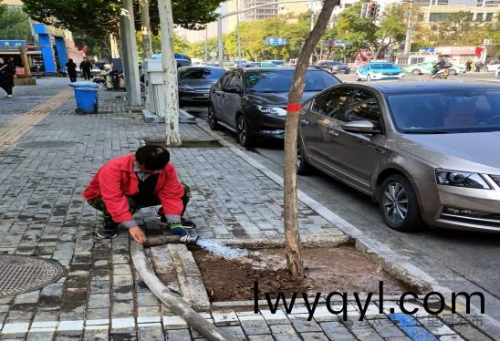 七(qi)裏(li)河區(qū)園林綠化所全(quan)麵(mian)開展鞦季(ji)苗(miao)木補栽工(gong)作(zuo)