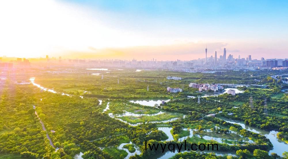 ?爲(wèi)民(min)打造城市(shi)綠洲(zhou)